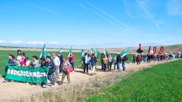 El Sindicato Andaluz de Trabajadores (SAT) ocupa por undécima vez la finca de Somonte en Palma del Río de Córdoba