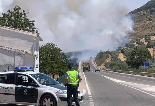 Más de 900 hectáreas de suelo forestal se calcinaron en Córdoba entre junio y octubre pasados