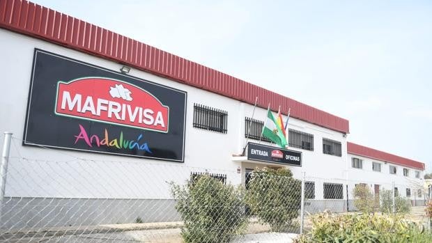 El matadero comarcal de Villanueva de Córdoba, ante su última oportunidad de revivir