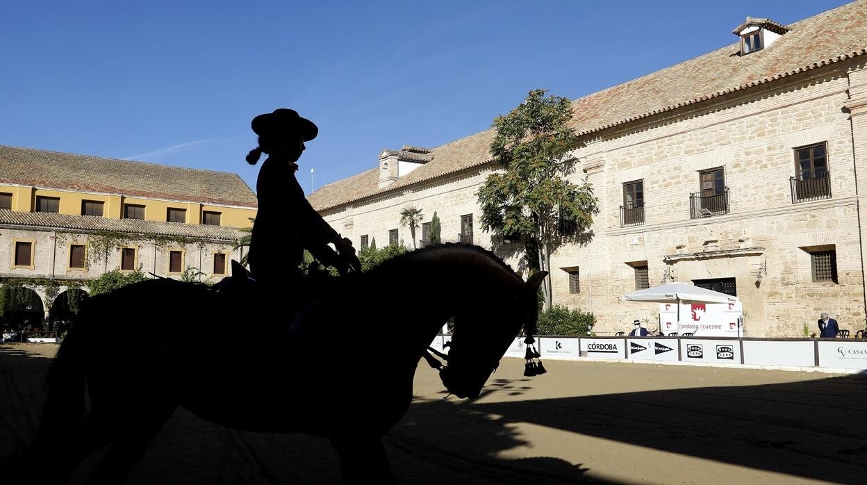 Imagen de un jinete en las Caballerizas Reales de Córdoba