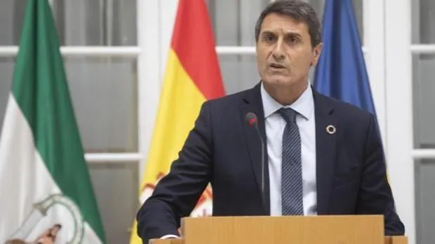 El delegado del Gobierno pide «refuerzo» de sanitarios en Andalucía y «responsabilidad individual» en Navidad