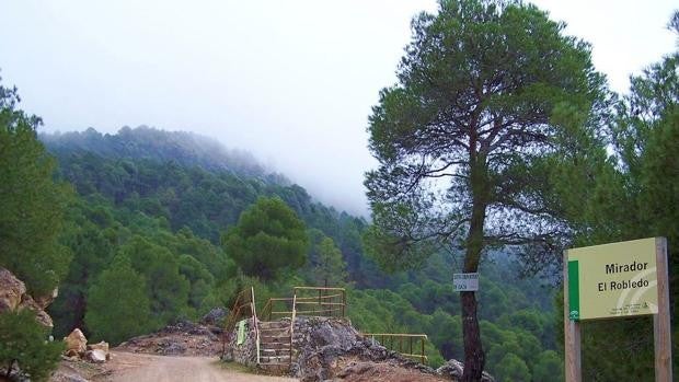 Grandes rutas para disfrutar de la sierra de Cazorla en invierno