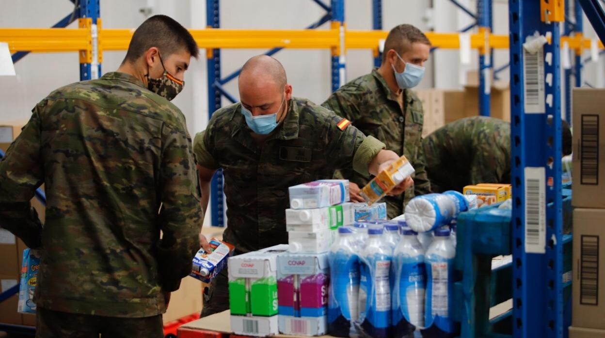 El Ejército ayuda en labores del Banco de Alimentos en Córdoba