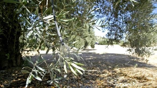 Fallados los XI premios Ricardo López Crespo de la Fundación Caja Rural del Sur de Córdoba