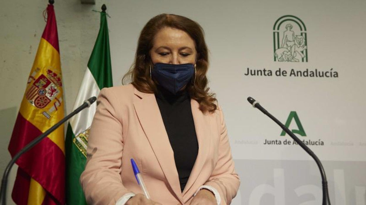 La consejera Carmen Crespo durante su intervención el martes en el Palacio de San Telmo