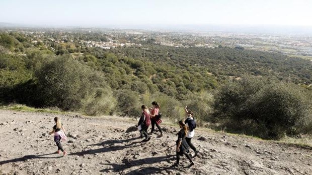 Una farmacéutica alemana plantará un bosque en la zona del Patriarca de Córdoba