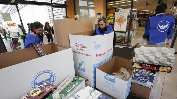 El Banco de Alimentos de Córdoba entrega las tarjetas de compra de Mercadona procedentes de la 'Gran Recogida'