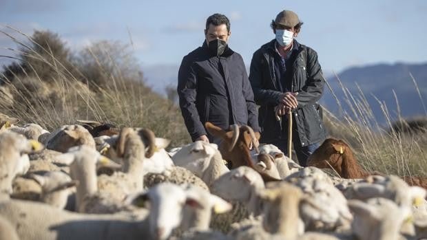 Moreno visita una explotación de ganadería extensiva de Granada en defensa del sector tras la palabras de Garzón