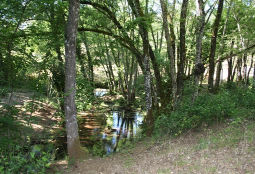 El arroyo Bejarano, en la Sierra