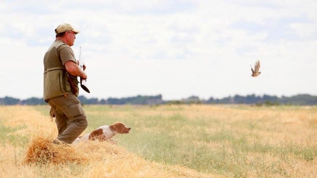 La Junta reducirá las tasas de los aproximadamente 156.000 cazadores no federados en Andalucía