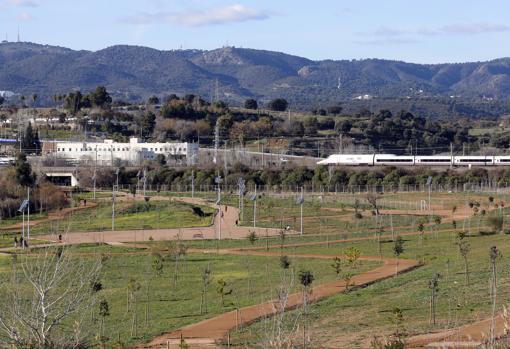 Imagen del Parque de Levante, cuyas obras acomete Urbanism o