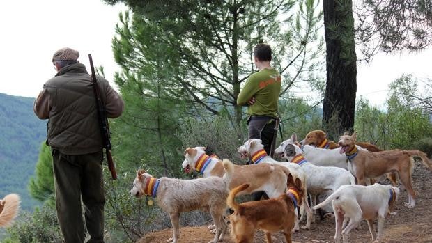 Muere un hombre al recibir un disparo durante una cacería en Hinojos