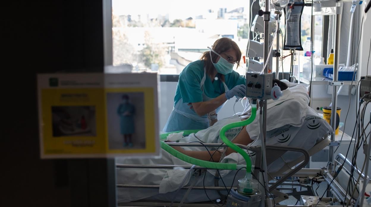 Personal sanitario en un hospital cordobés