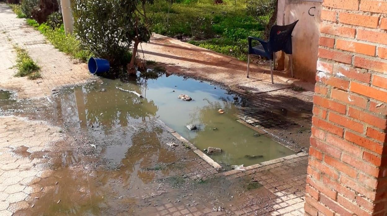 Aguas residuales en las calles del barrio de Palmeras