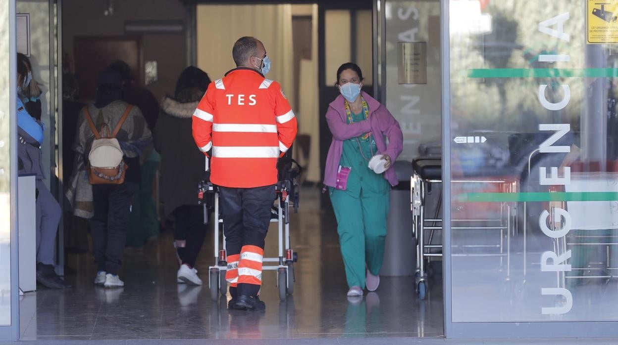 Un sanitario entra en Urgencias del Reina Sofía, donde ha sido trasladado uno de los heridos en el accidente