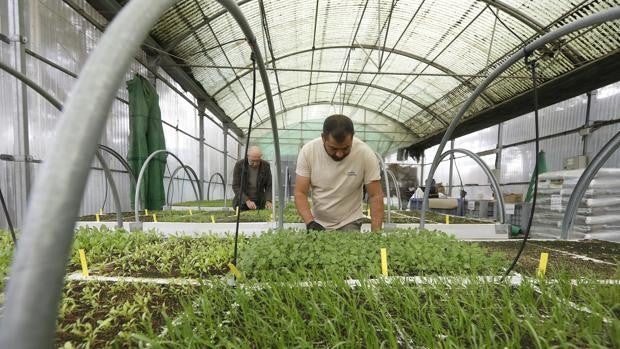 2021 cierra con el mejor dato de creación de sociedades mercantiles en Córdoba desde 2013