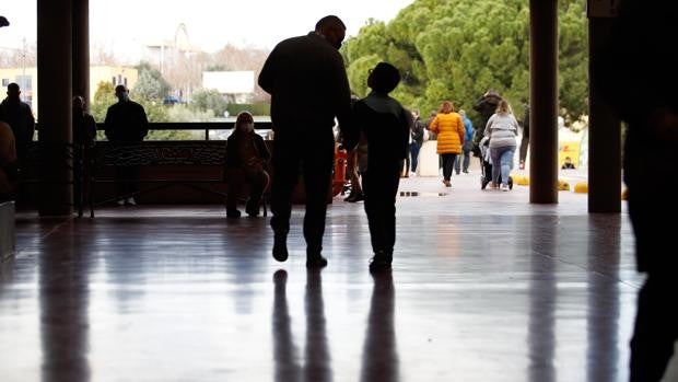 La mascarilla, clave para reducir un 50% los casos de leucemia en niños en Córdoba