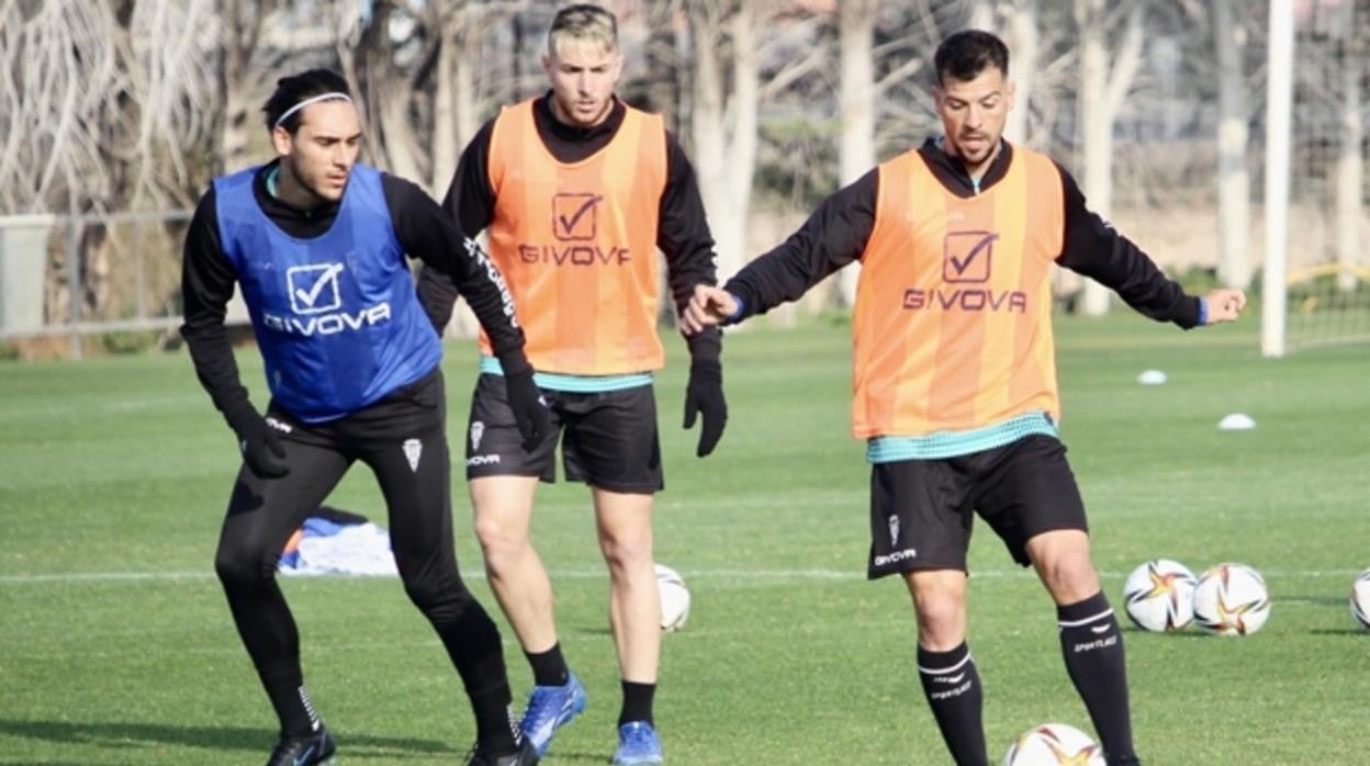 Los jugadores del Córdoba CF entrenan en la ciudad deportiva