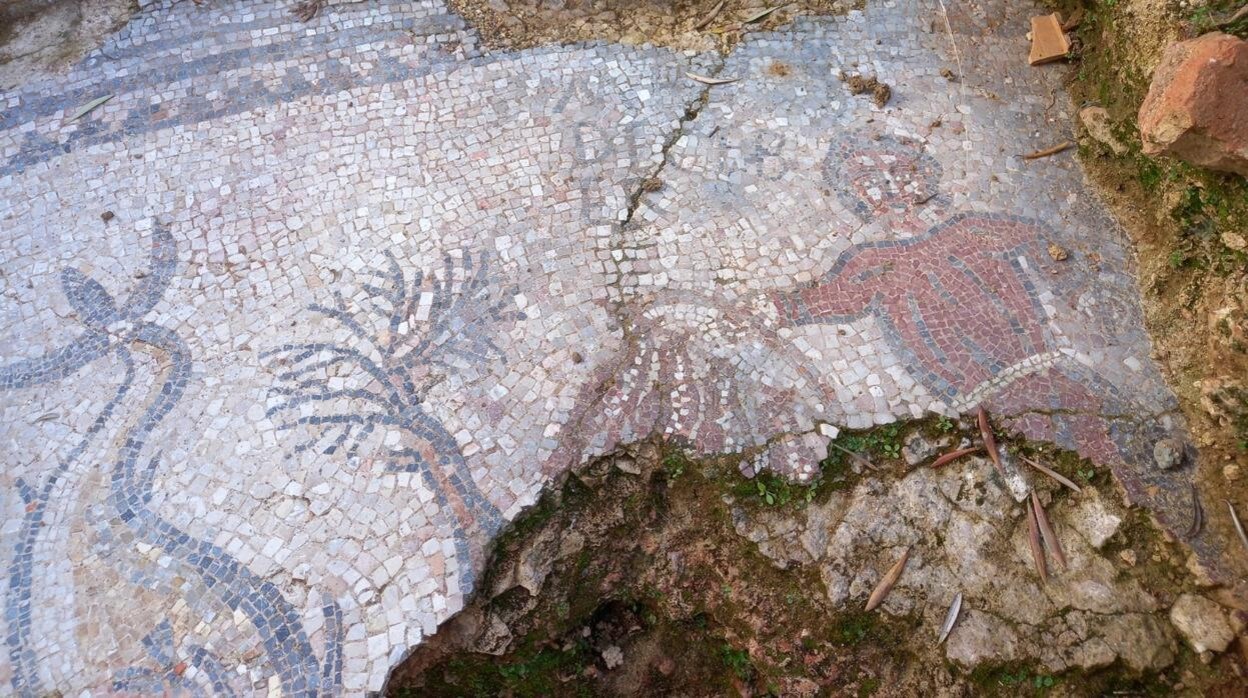 Fragmento del mosaico romano encontrado en un olivar de Adamuz