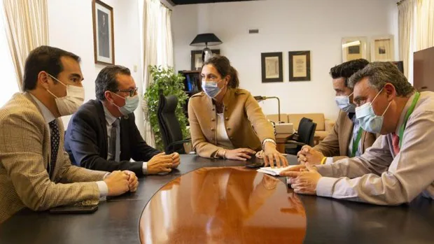 El Parlamento andaluz citará a los alcaldes del PSOE que apoyan los cultivos en el entorno de Doñana