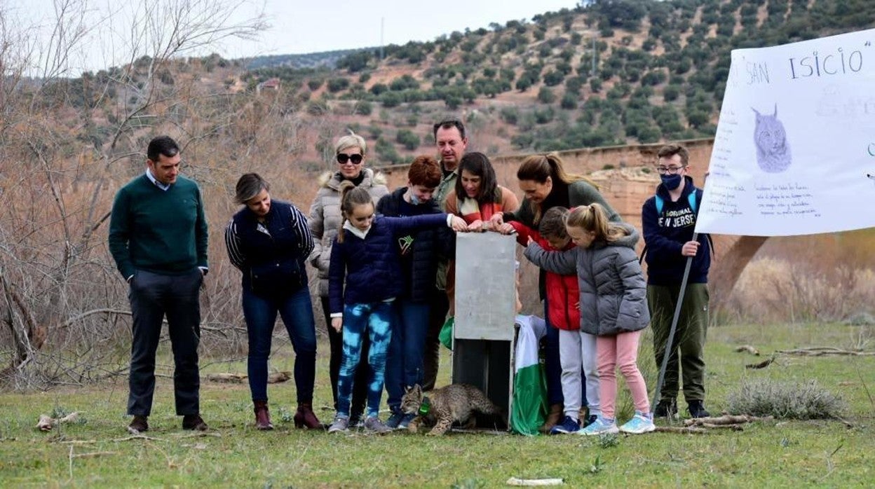 Suelta del lince en el valle del río Guarrizas