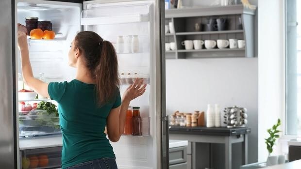 Estos son los dos frigoríficos que menos energía consumen según la OCU
