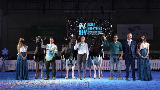 La Feria del Ganado Frisón de Dos Torres finaliza con éxito de público y de calidad de las vacas