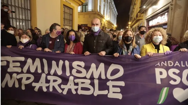 Miles de personas claman en Andalucía igualdad de derechos para la mujer el 8-M