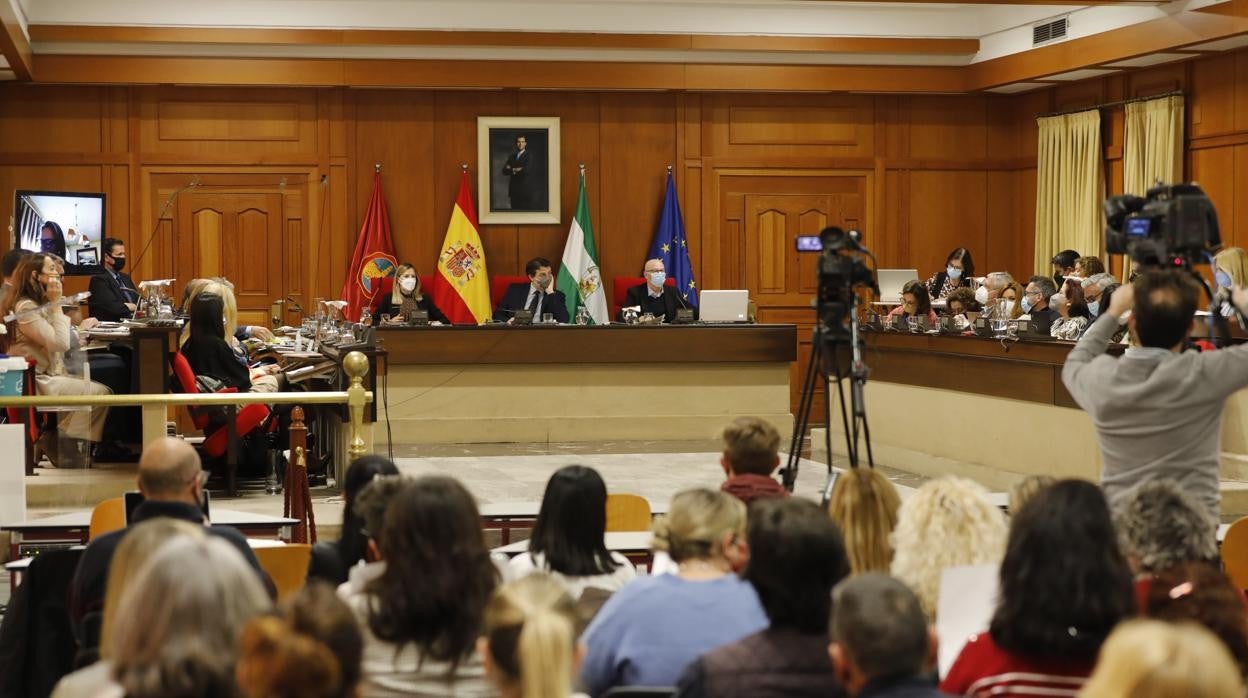 Un momento del Pleno del Ayuntamiento de Córdoba celebrado hoy