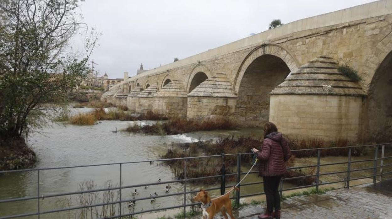 LLuvias caídas en diciembre en Córdoba