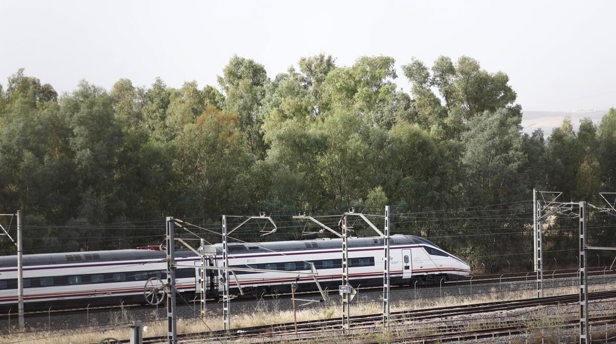 Un tren de Alta Velocidad en la provincia de Córdoba