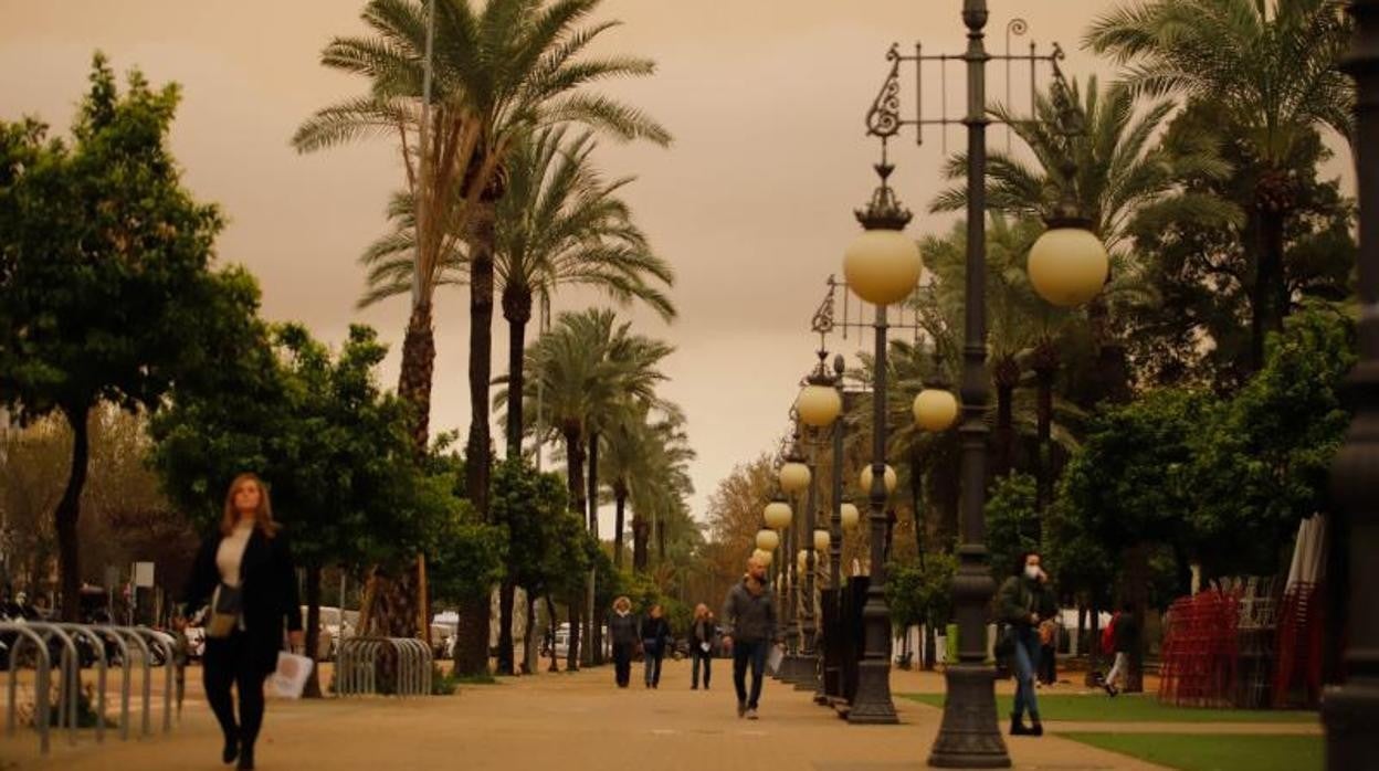 La calima de ayer en el Paseo de la Victoria de Córdoba