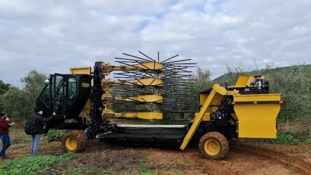 El programa de innovación para el olivar de la Universidad de Córdoba lanza ya sus productos