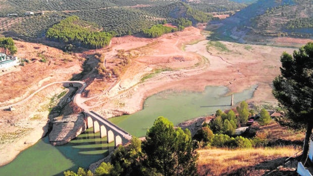 El campo de Córdoba acoge con frialdad un decreto de sequía insuficiente para paliar los daños