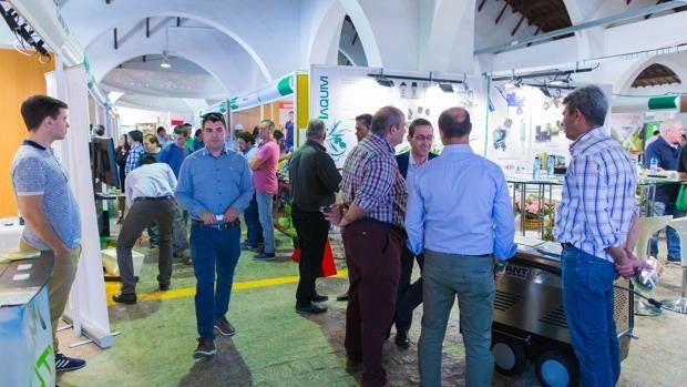 Si eres empresario agroalimentario, amplía tus contactos en la Feria del Olivo de Montoro