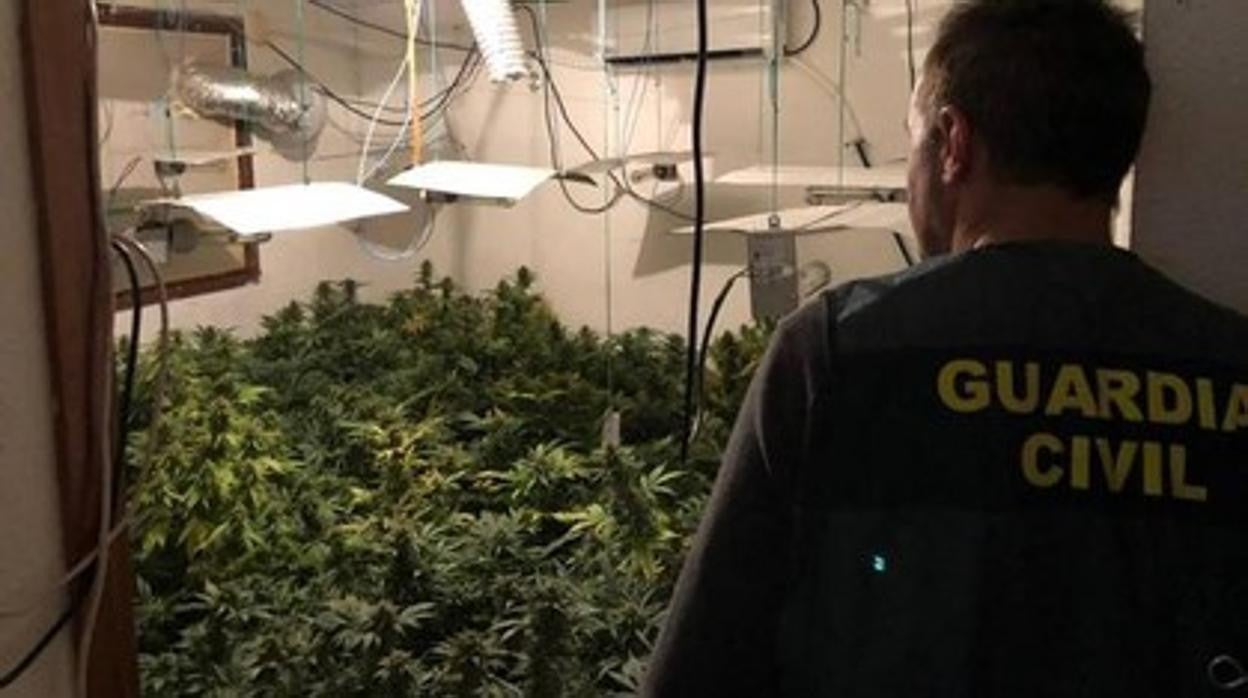 Imagen de archivo de una plantación de marihuana 'in door' descubierta por la Guardia Civil