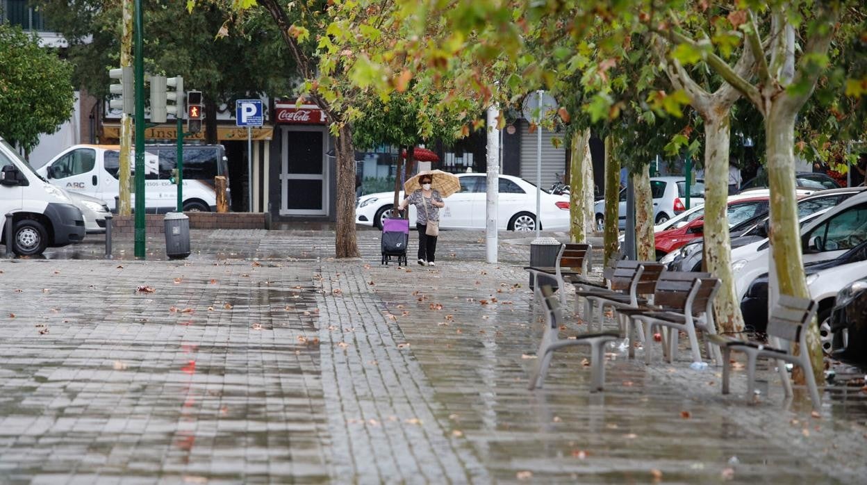 Una mujer con un carrito de la compra y un paraguas en un día de lluvia