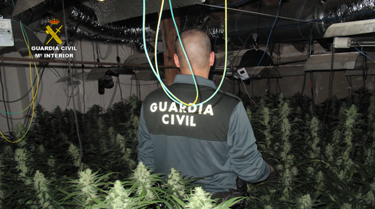 Un agente de la Guardia Civil, ante una plantación 'in door' de marihuana, en una imagen de archivo