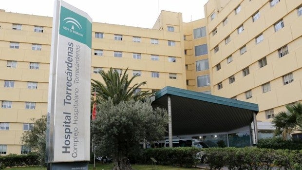 Muere el segundo herido por la caída de una palmera en Almería