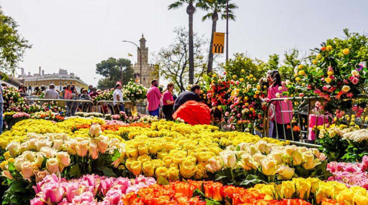 Instalación de Flora en el Paseo de Colón