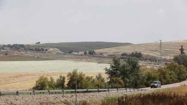 Base Logística de Córdoba | La Junta autoriza el gasto de 38 millones para su urbanización