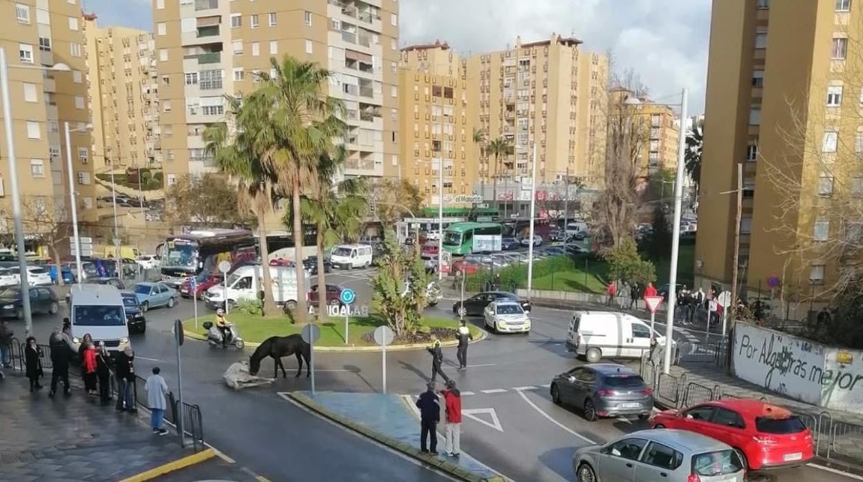 Los dos caballos, en la rotonda, donde dos agentes intentan regular el tráfico rodado