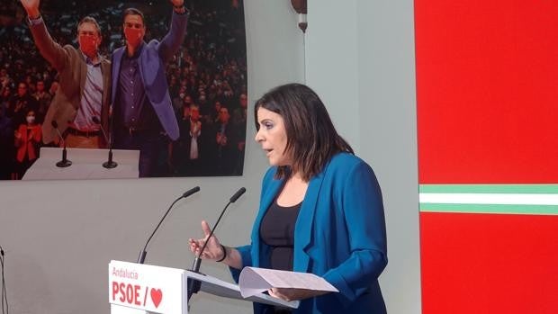 El PSOE se persona en la causa del presunto intento de fraude con test falsos al Servicio Andaluz de Salud