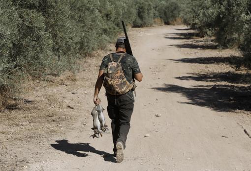 Detenido en Córdoba por estafar a varios cazadores ofreciendo por Internet puestos falsos