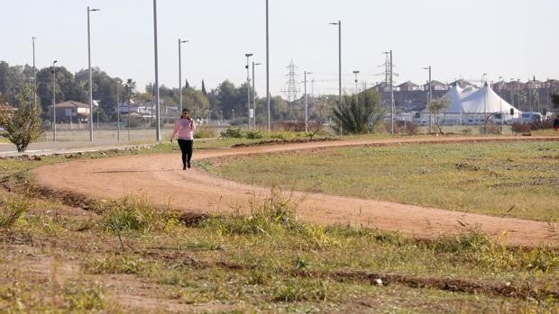 Urbanismo saca a licitación el alumbrado del Parque del Flamenco de Córdoba