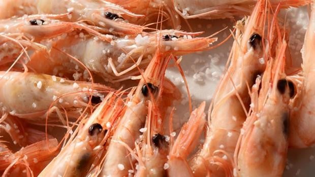 Punta Umbría retoma la feria de la gamba en Huelva: ocho toneladas de marisco se degustan este fin de semana