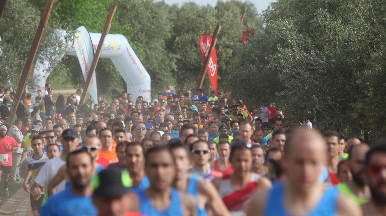 Imagen de los corredores en el Cross de la Asomadilla