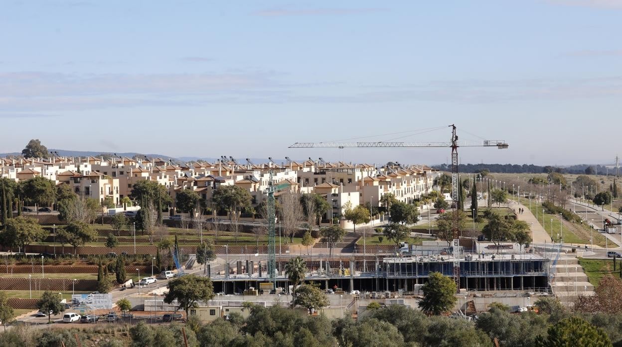 Promoción de vivienda en la zona de Mirabueno