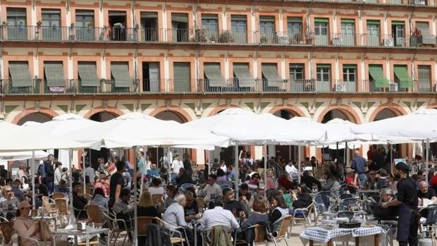Vuelve la primavera a Córdoba este lunes con cielos soleados y temperaturas de 25 grados