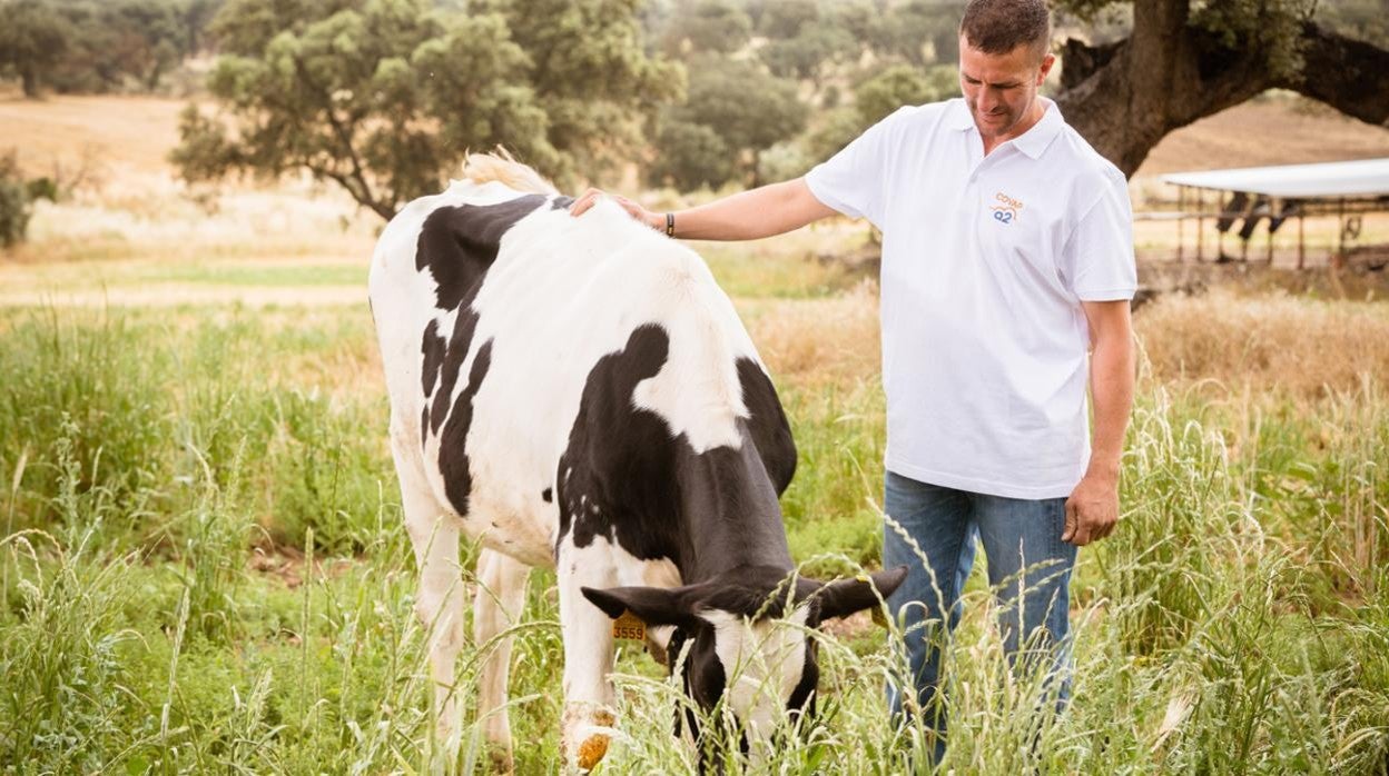 La nueva leche de Covap proviene de vacas seleccionadas genéticamente